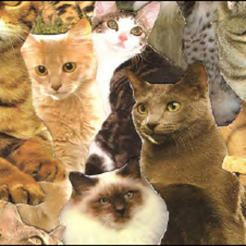 Motion Sickness of Time Travel - Remixes (TMT Mix)