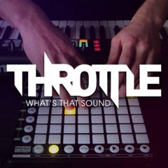 What's That Sound (30+ Song Live Mashup) - By Throttle