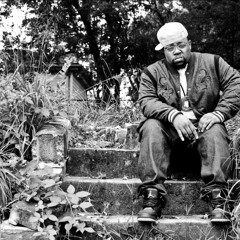 Big SANT - 2 Much (Remix) Ft. DeLorean & Killa Kyleon (Prod. By Big K.R.I.T.)