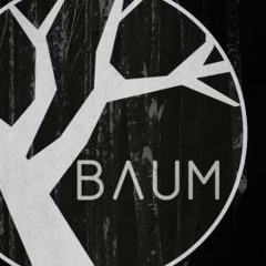 Holosound At BAUM, Bogota June 15th 2013