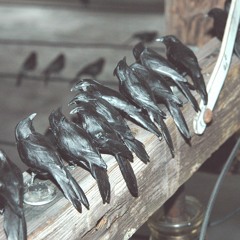 Real AmeriKKKa Feat. D Jones aka Mr. Solid 150