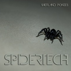 SpiderTech (Nürnberg Germany 2013)