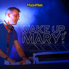 Wake Up, Mary! (Avicii Vs. CCR Vs. Tina Turner)