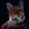 What The Fox Say ( Shasta's non anoying Trance remix)