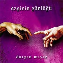 ezginin gunlugu - zerdaliler