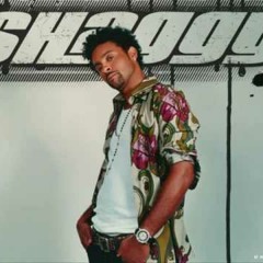Shaggy Mad Mad Wolrd Feat. Sizzla. Full Remix Dj Diego Lievano Evolution 2013