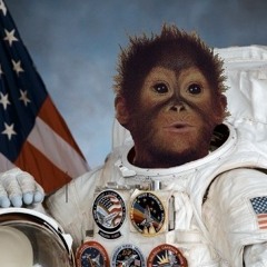 Jeff Rauschl - Go Go Space Monkey