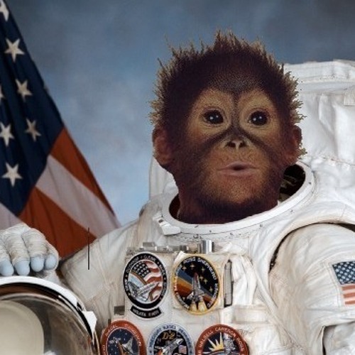 Jeff Rauschl - Go Go Space Monkey