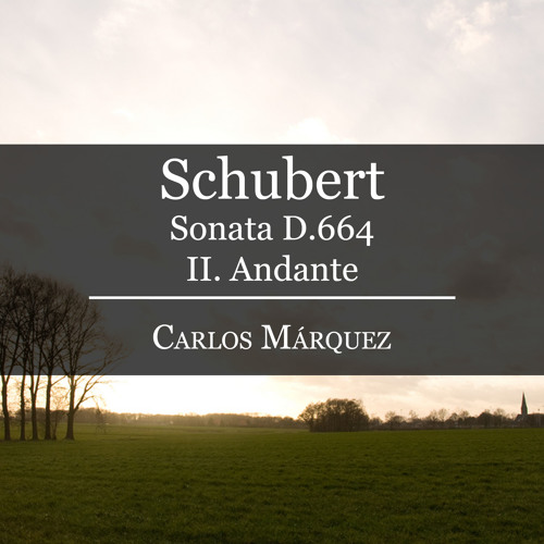 Schubert: Andante from Piano Sonata D.664