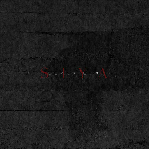 POUND CAKE FREESTYLE