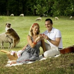 Gusoline - Loungelized