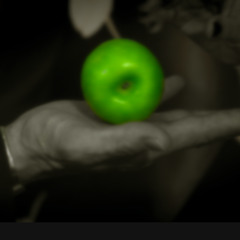 The gun the cake and the butterfly with Lisa Zane and Charles Eliasch