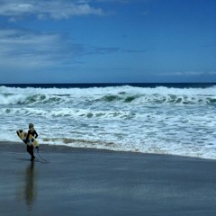 Bee's Wing (Christy Moore Cover)