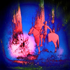 a horse is a horse - muxmäuschenwild @ cookies berlin, part I