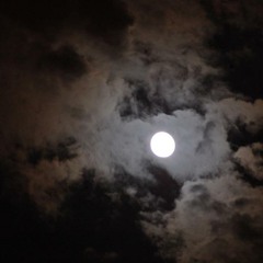 Teri Yaad Aati Hai (Adana sami)