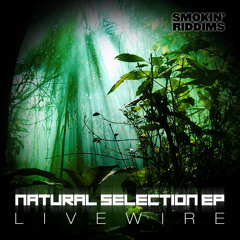 Livewire - Salvation (Natural Selection EP) (Smokin Riddims)