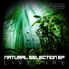Livewire - Natural Selection (Natural Selection EP) (Smokin Riddims)