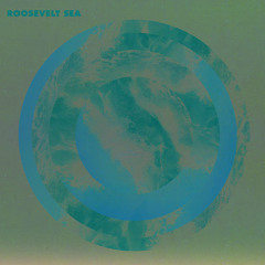 Roosevelt - Sea (djvol's tt dub edit)