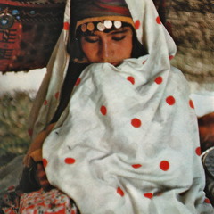 Times are getting hard boys (Limeliters)