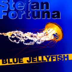 Blue Jellyfish (out now on Planet Scratch Records!!!)