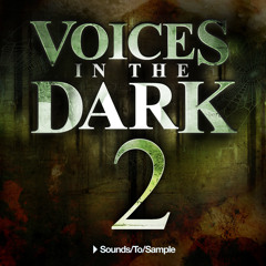Sounds to Sample - Voices in the Dark 2 - Mike Acosta's Mayhem Demo