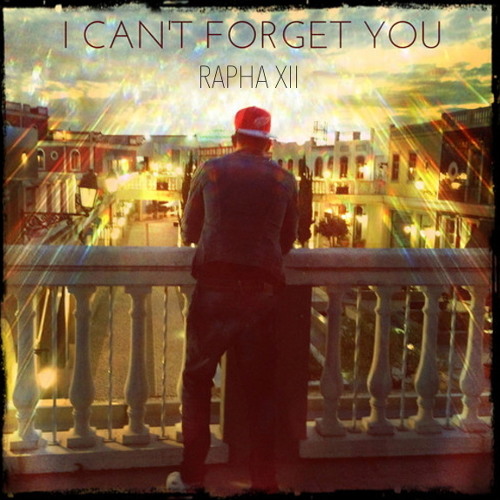 I Can't Forget You
