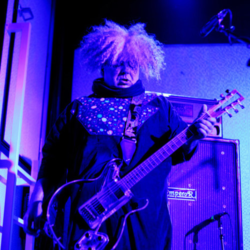The Melvins - "It's Shoved" Clip Live at Third Man Records
