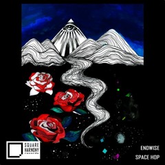 Endwise - Space Hop [Arthur Berlinn Space Cowboy Edit] FREE DOWNLOAD