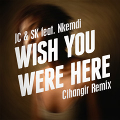 John Creamer & Stephane K ft. Nkemdi - I Wish You Were Here (Cihangir Remix)