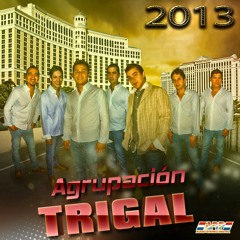 TENGO AMIGOS EN LAS CANTINAS - AGRUPACION TRIGAL.mp3