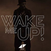 Avicii - Wake Me Up (GiaN Remix) Low quality