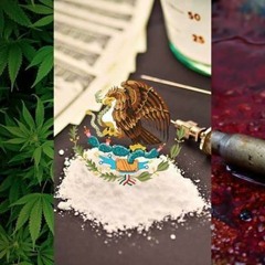 LA MUERTE DE JULIO BELTRAN EL POTRO DE SINALOA