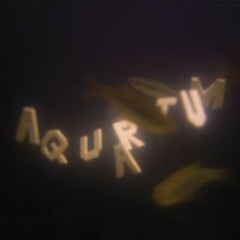 Aquarium