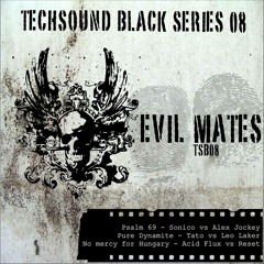 No Mercy For Hungary(Reset vs Acid Flux) TS Black Series 08: Evil Mates (low fi web version)