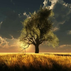 Kuidas Y Su Grupo Herencia Nortena Bailamos Atol De Elote