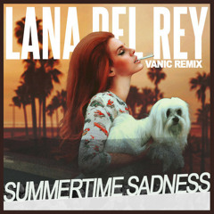 Summertime Sadness - Vanic [Remix]