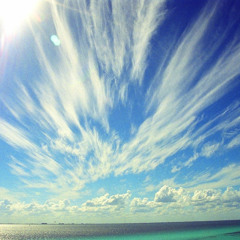 You Only Live Once Wav