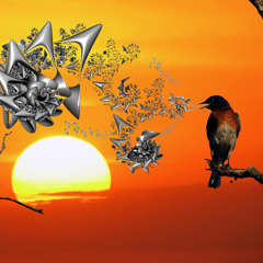 PFG Sunrise Set 2013