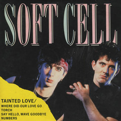 "Tainted Love"  Chopped Up by Mista Lawnge!