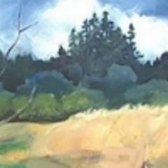 Willamette Oh Willamette!