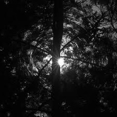 "Solar Wind" [disquiet0089-vger] [2023 REMASTER]