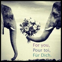 For you. Pour toi. Für Dich.