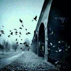 شيلات