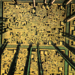 Элементы Нахера  - Отшельник И Камера Слежения