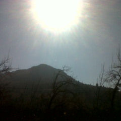 Hardy Boysteriss- Angler