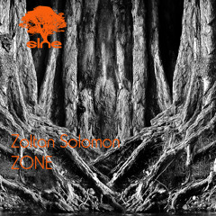 Zoltan solomon ZONE 2_SNR001