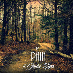 BZY-Pain ft. Jaiden Stylez