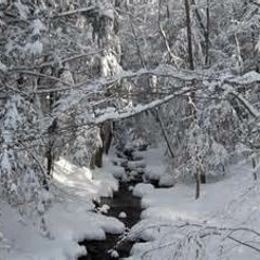 Snowfall (feat. Collin Bergkamp)