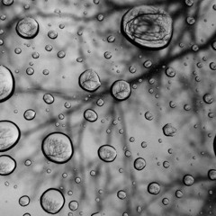 The xx - Teardrops (cover)