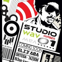 مهرجان مزيكا دوم دوم بتغنى